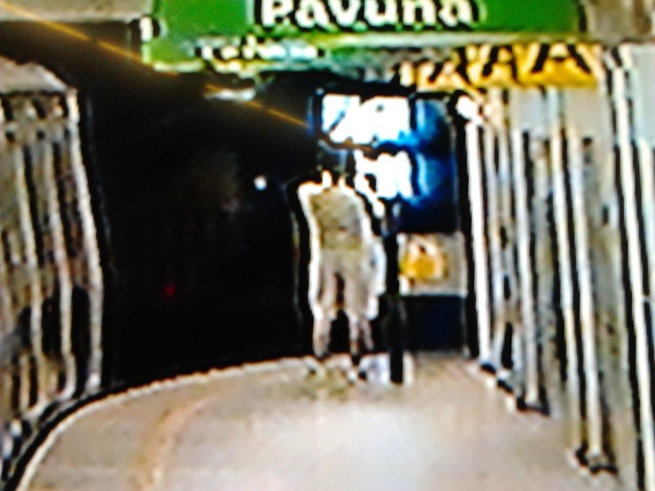 2013-10-06 21.21.04 - Bruce Nauman, Corredor, 1968-70, corredor com circuito interno de tv (in KRAUSS, Rosalind, Caminhos da escultura moderna, pág. 288)